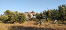 Cómo inmatricular una finca no inscrita en el Registro de la Propiedad 2 inmatriculacion de finca